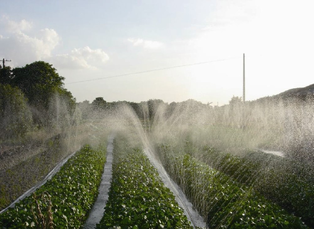 Agricultural Sprinkler Irrigation: A Key Water Management Technique